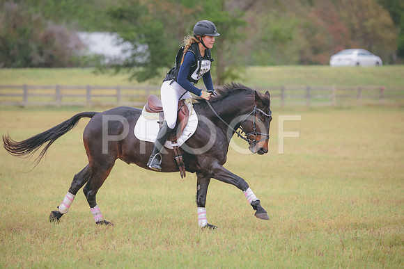 RWP_3488