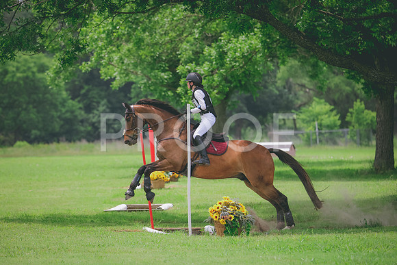 RWP_2509