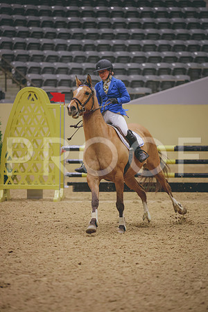 0N0A6603