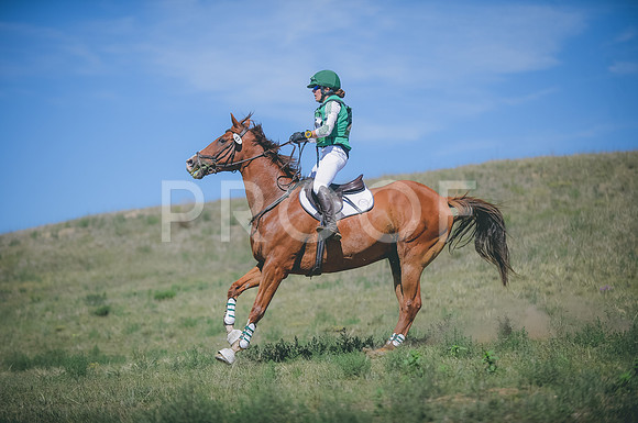 JJS_8101A