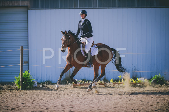 JJS_0114