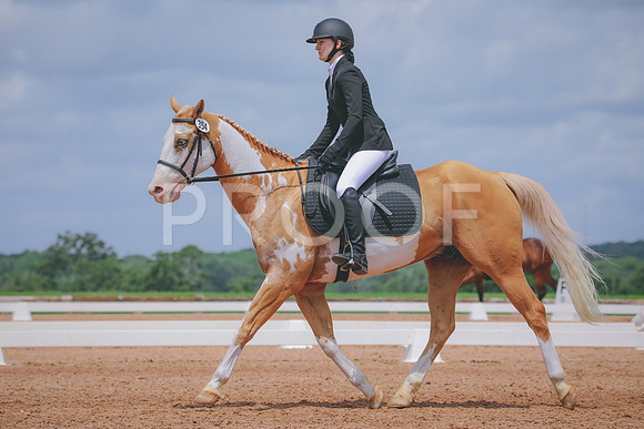 RWP_4508