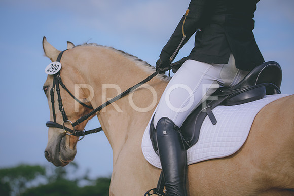RWP_3731