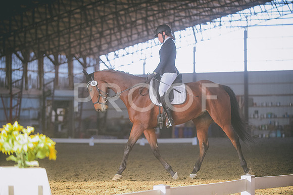 JJS_2292