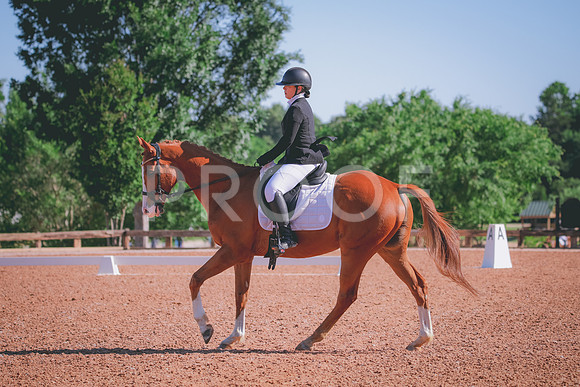 RWP_9549
