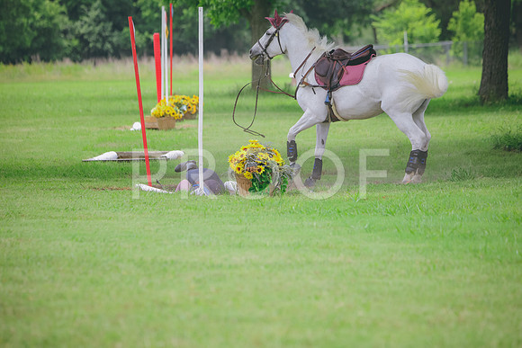 RWP_2813