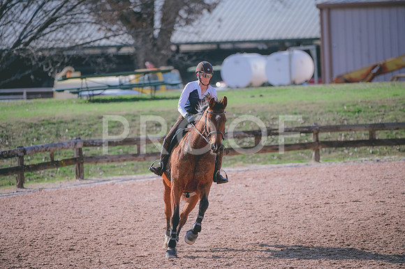 JJS_0458