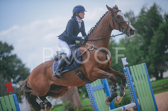 000_6590