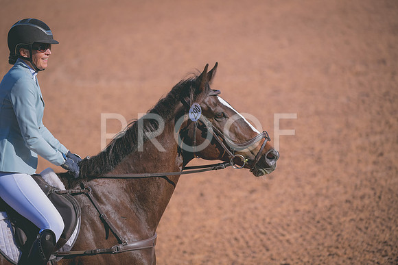 _DSC0461