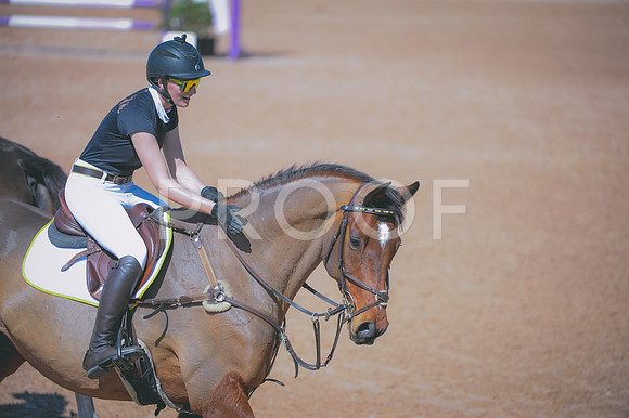 JJS_3408