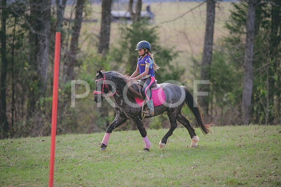 JJS_1272