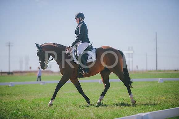 JJS_2208