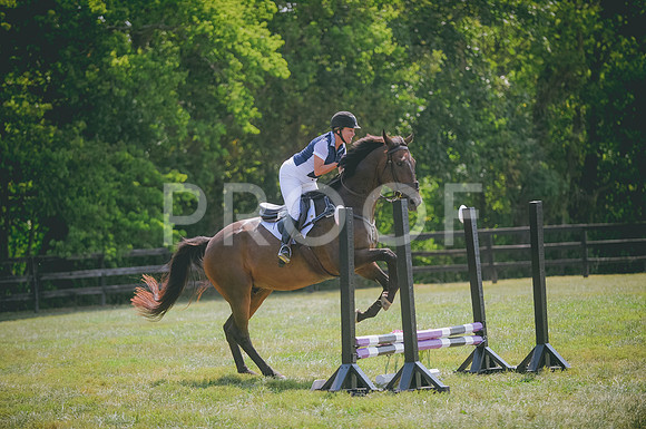 JJS_0590