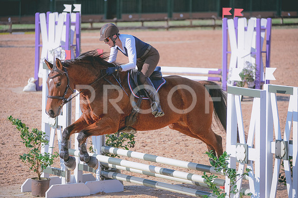 JJS_0487