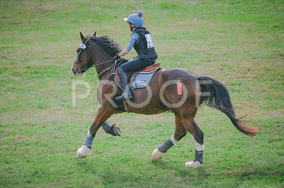 JJS_6698