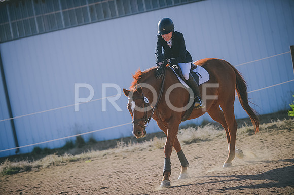 JJS_0023A