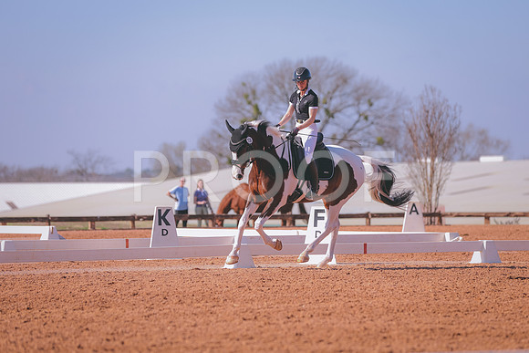 CDP_3920