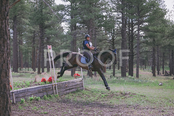 JAS_7154
