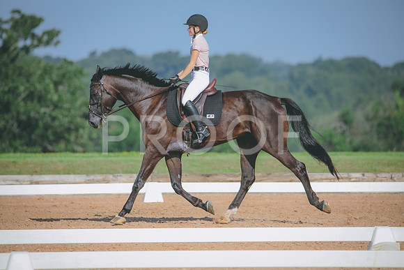 RWP_4654