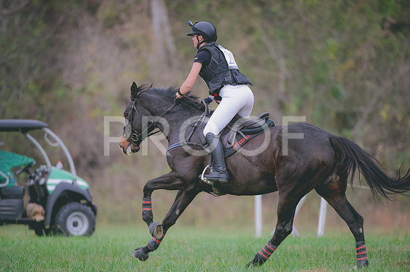 JJS_0564
