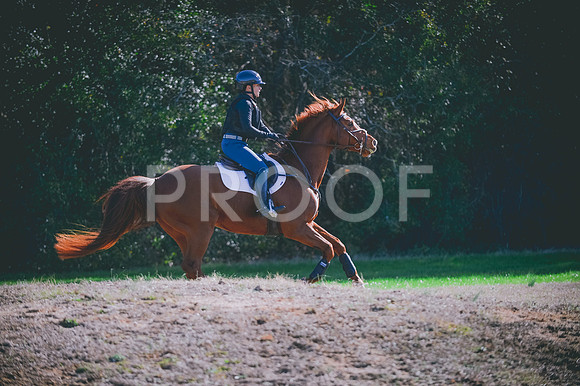 JJS_0478