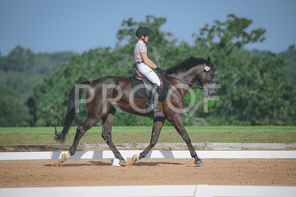 RWP_4643