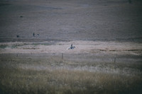 JJS_0537
