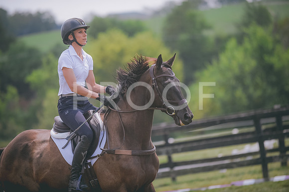 JJS_7951