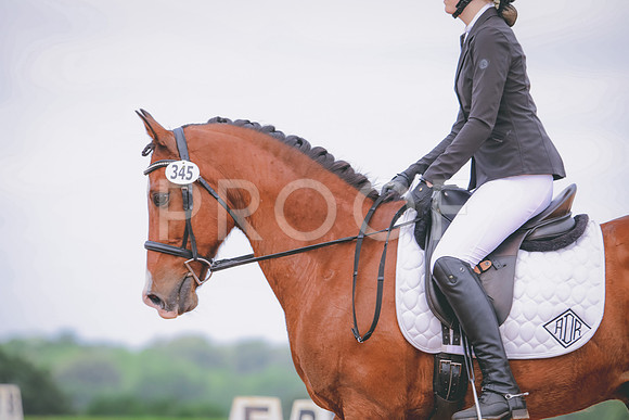 RWP_4235