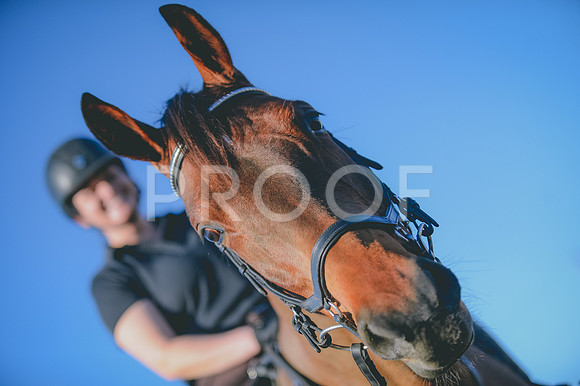 JJS_0729