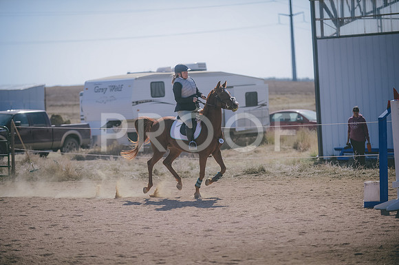 JJS_6454