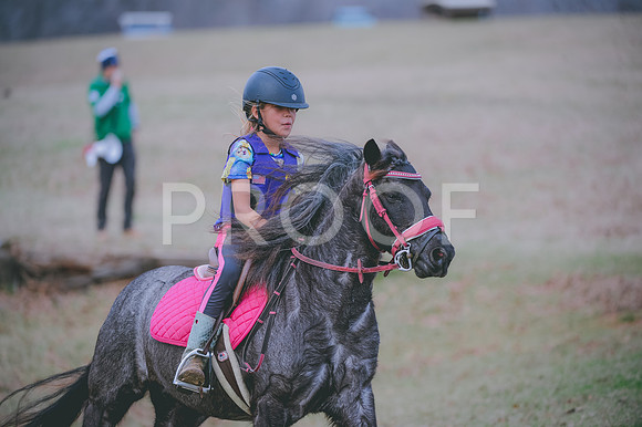 JJS_2147