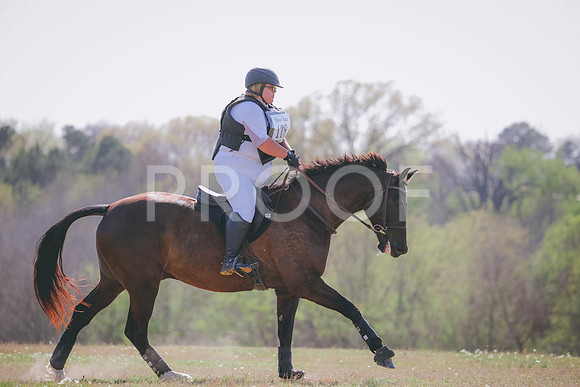 RWP_1616