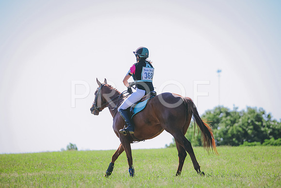 RWP_1381