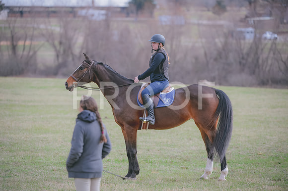JJS_0465