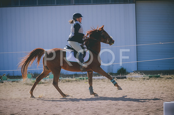 JJS_6468