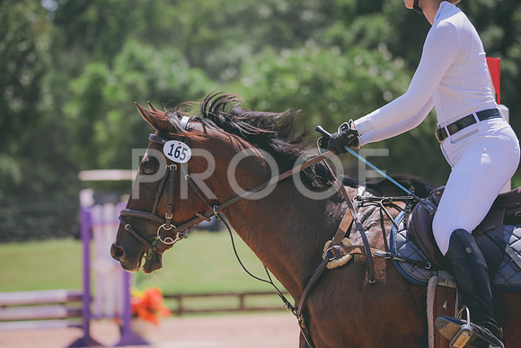 RWP_5503
