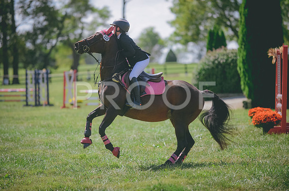 JJS_0937