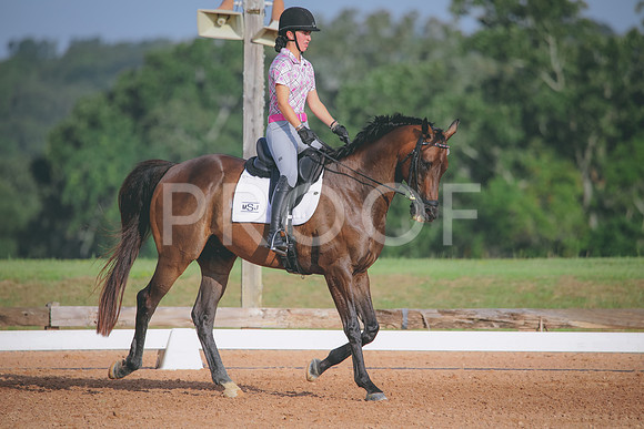 RWP_4359