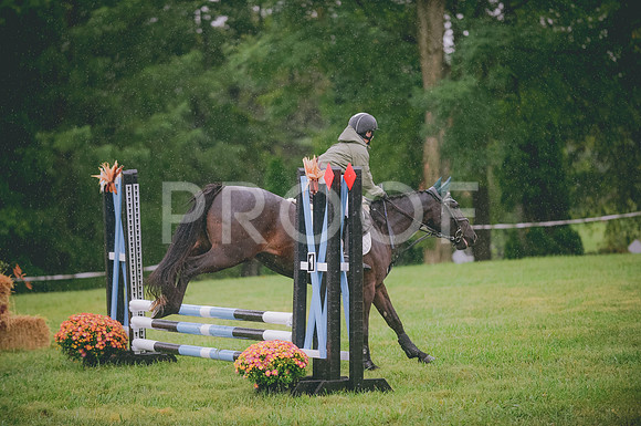 JJS_7403