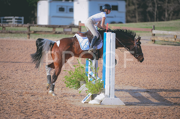JJS_3742