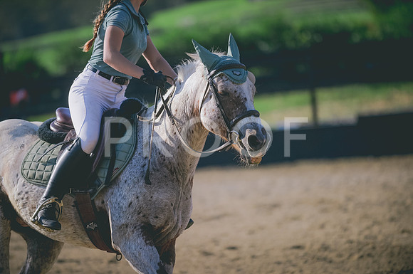 JJS_8183