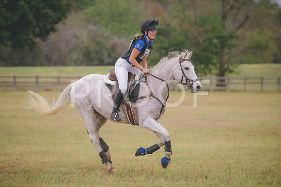 RWP_3213