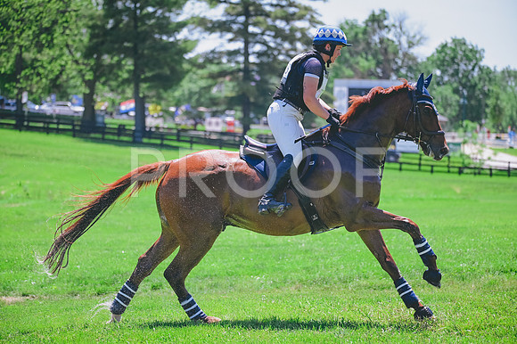 CRR_1695