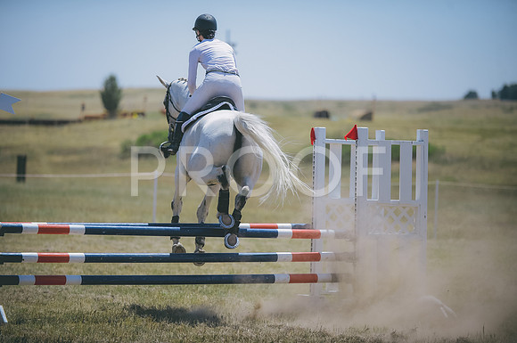JJS_0694A