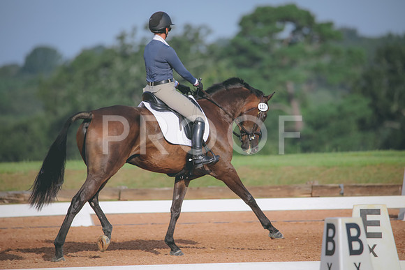 RWP_4381