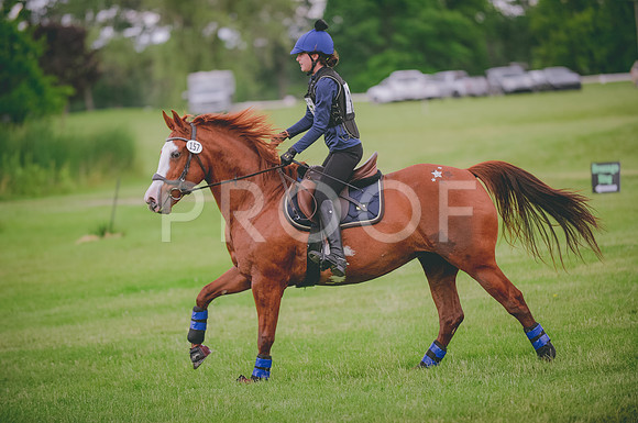 JJS_0690