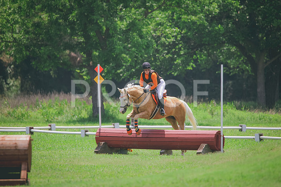 RWP_3907