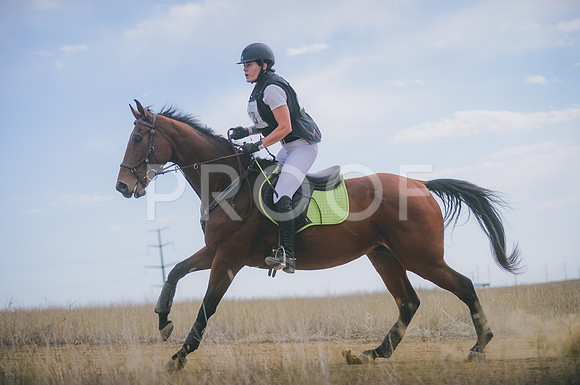 JJS_1371A