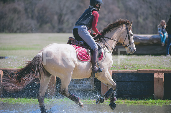 JJS_8178